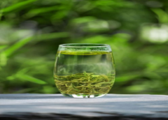 明前高山綠茶廠家供應(yīng)
